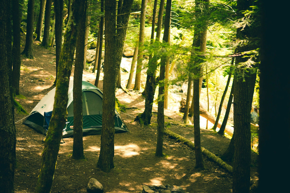 Camping / Outdoors - Brantford Surplus