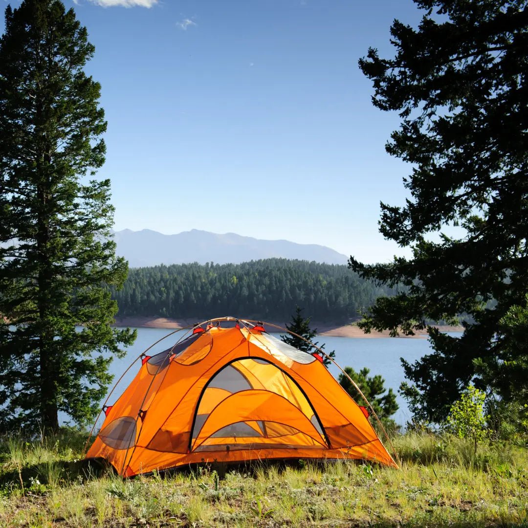 Tents - Brantford Surplus